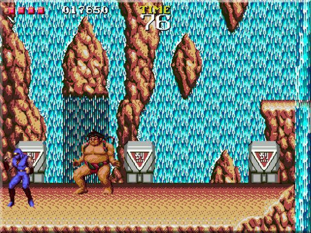 Ninja Gaiden — скриншот 3