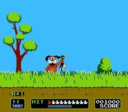 Duck Hunt — скриншот 1
