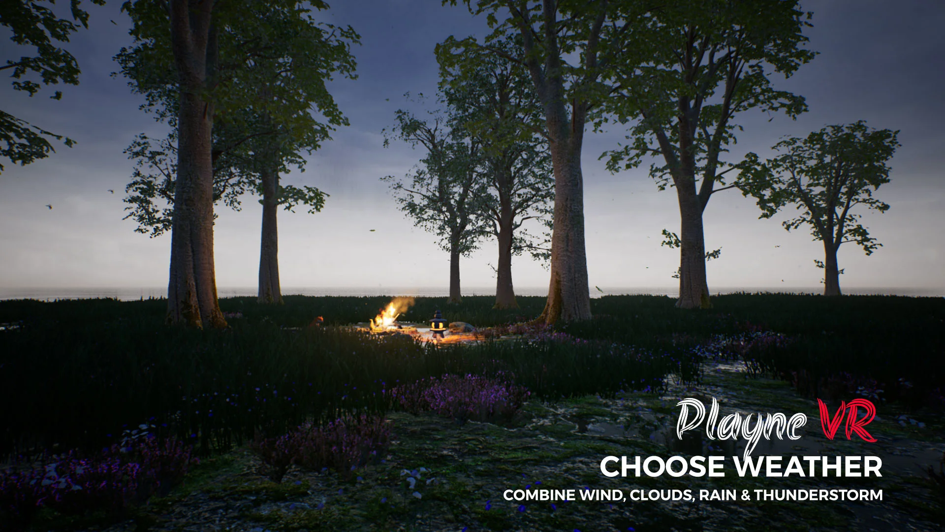 PLAYNE VR - кадр 4