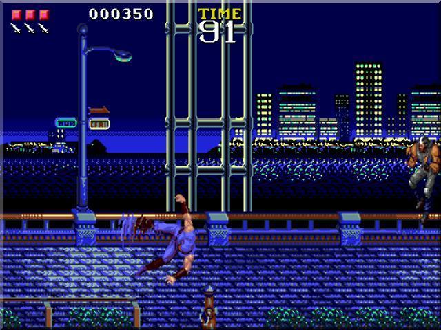 Ninja Gaiden — скриншот 1