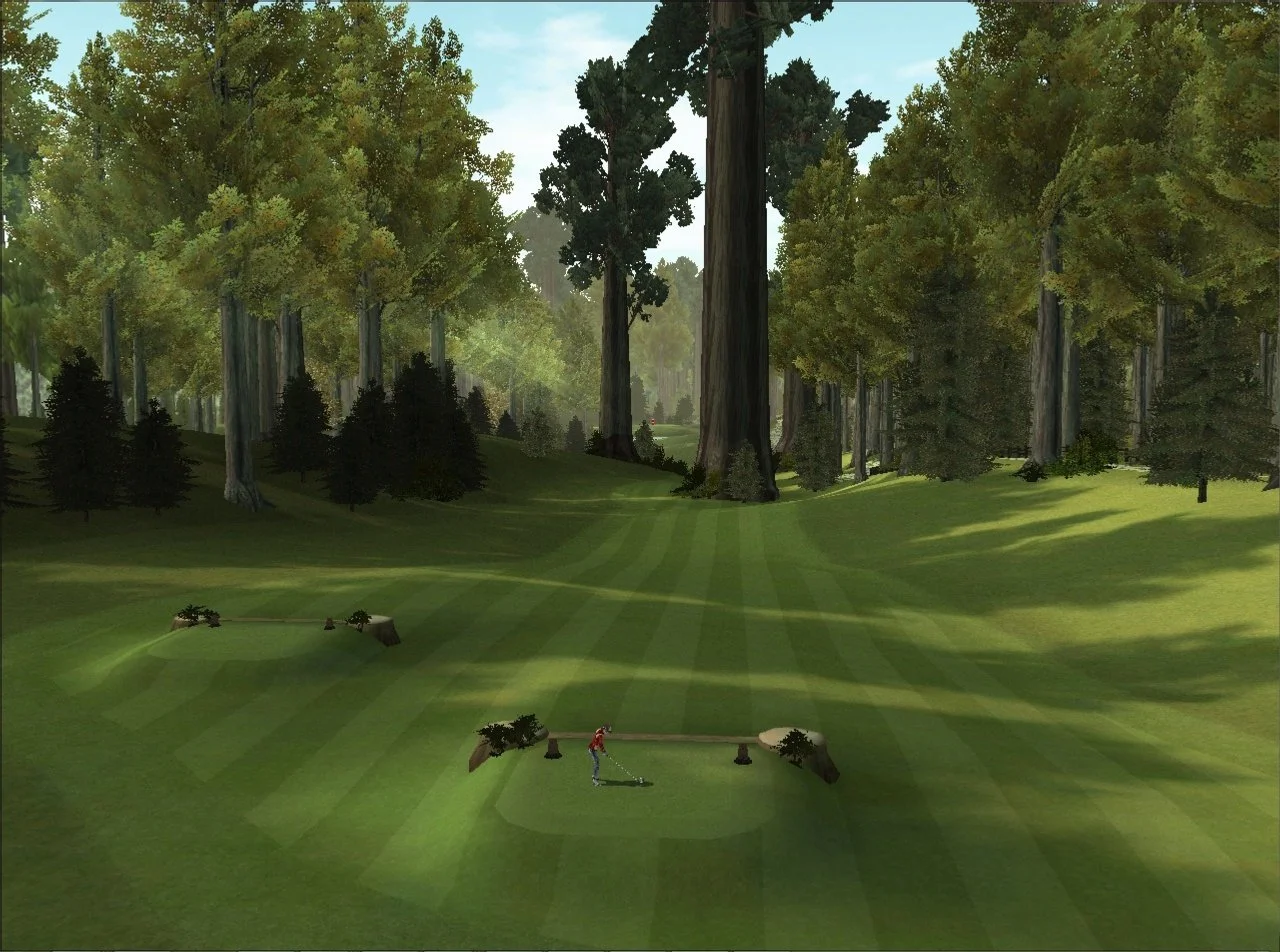 Golfstar - кадр 7