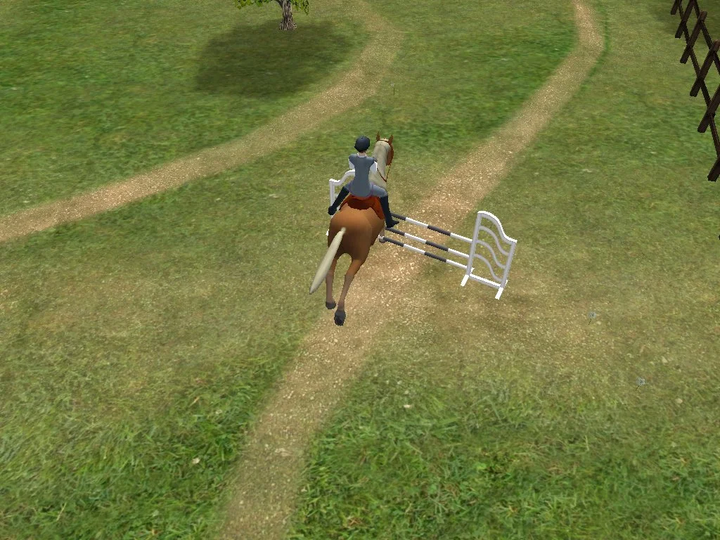 My Pet Hotel 2 - кадр 6