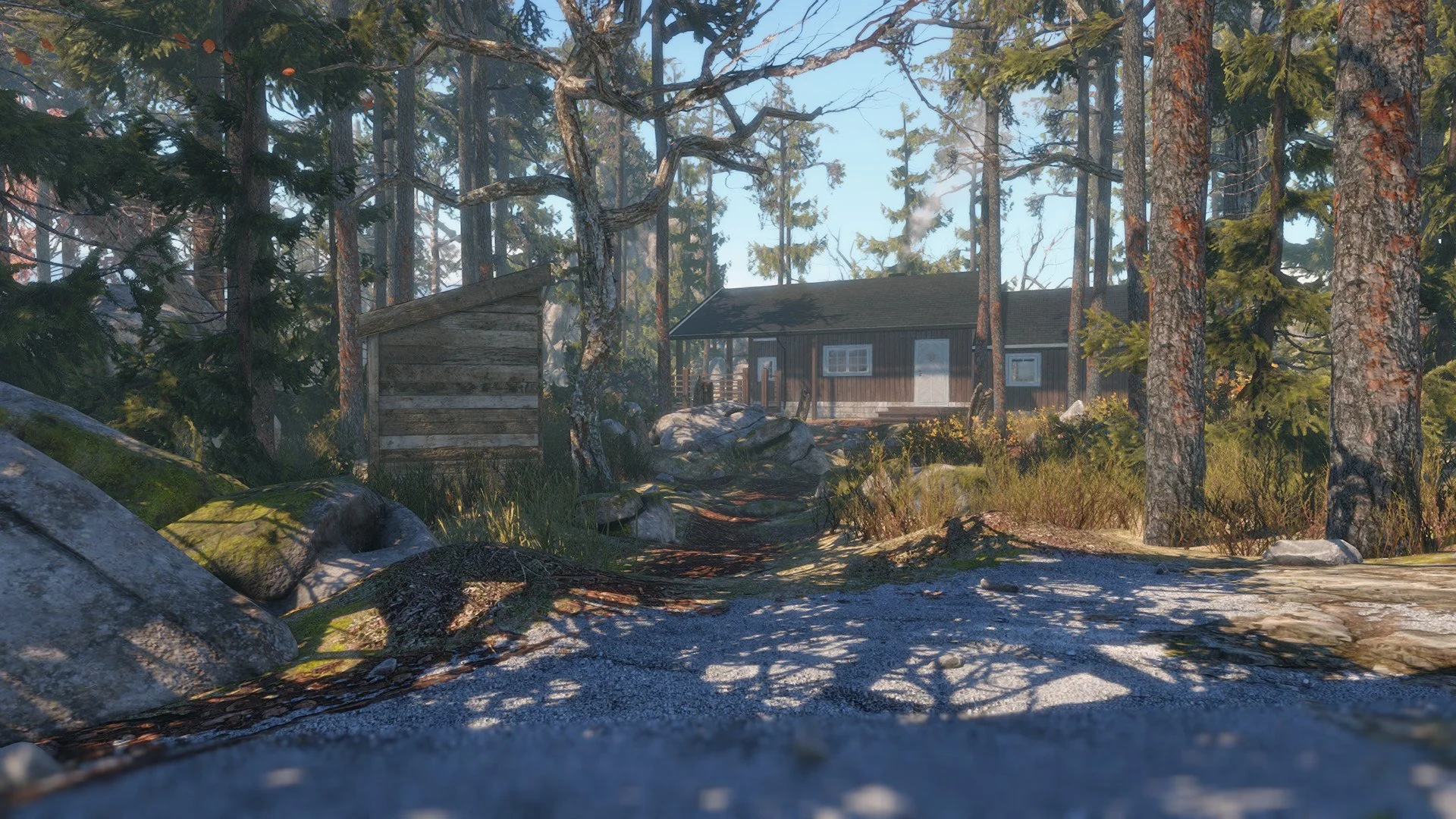 Through the Woods - кадр 2