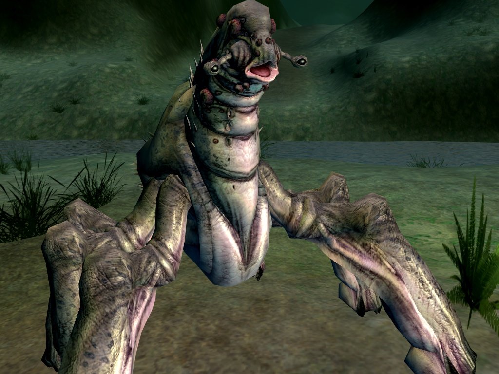 Star Wars Galaxies: Rage of the Wookiees — скриншот 4
