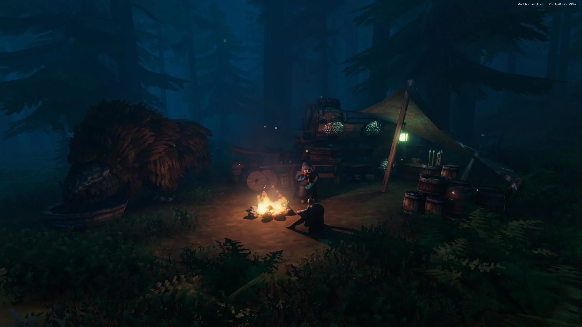 Valheim - кадр 18