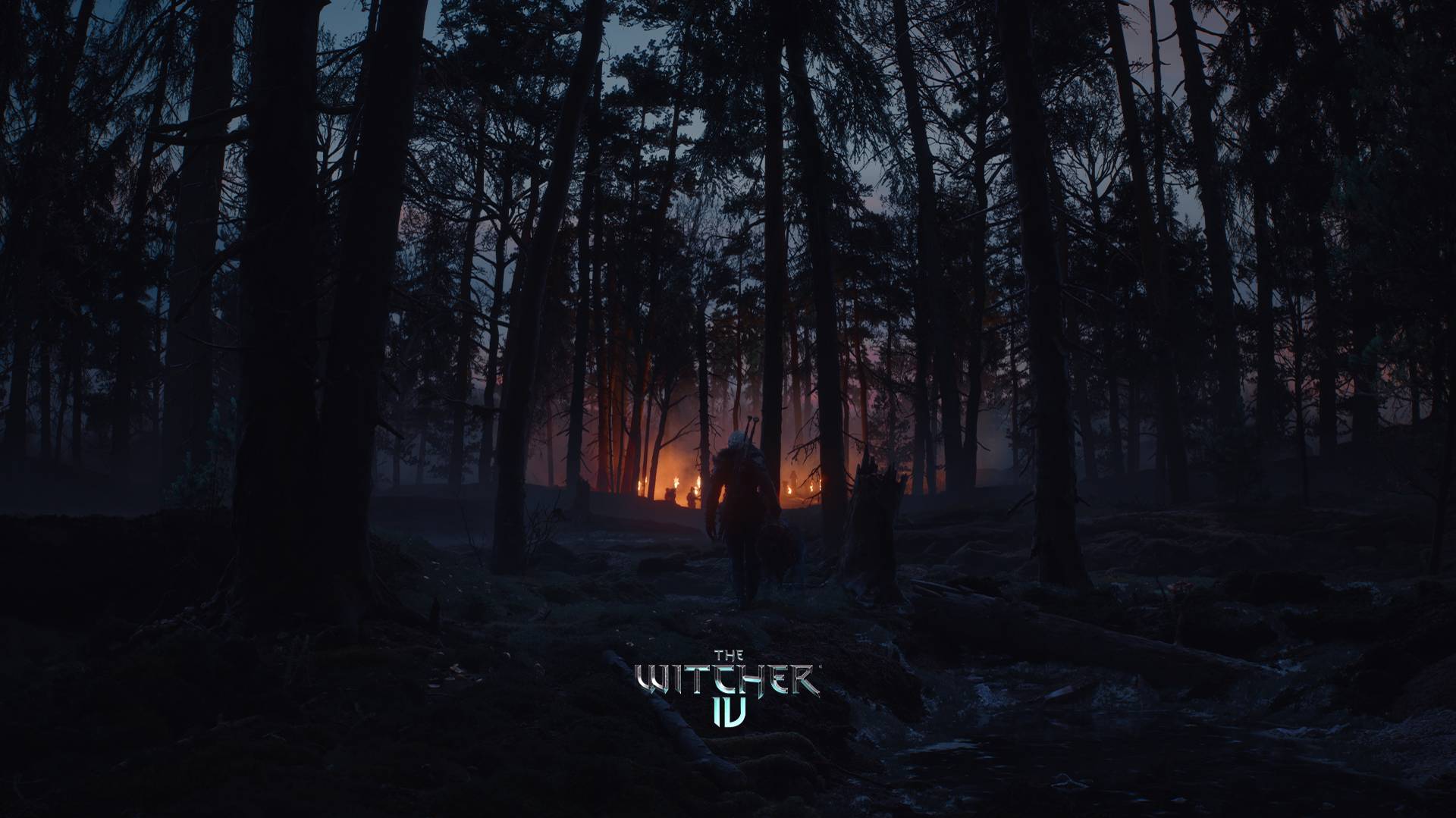 The Witcher 4 — скриншот 5