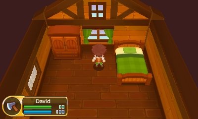 Fantasy Life — скриншот 3