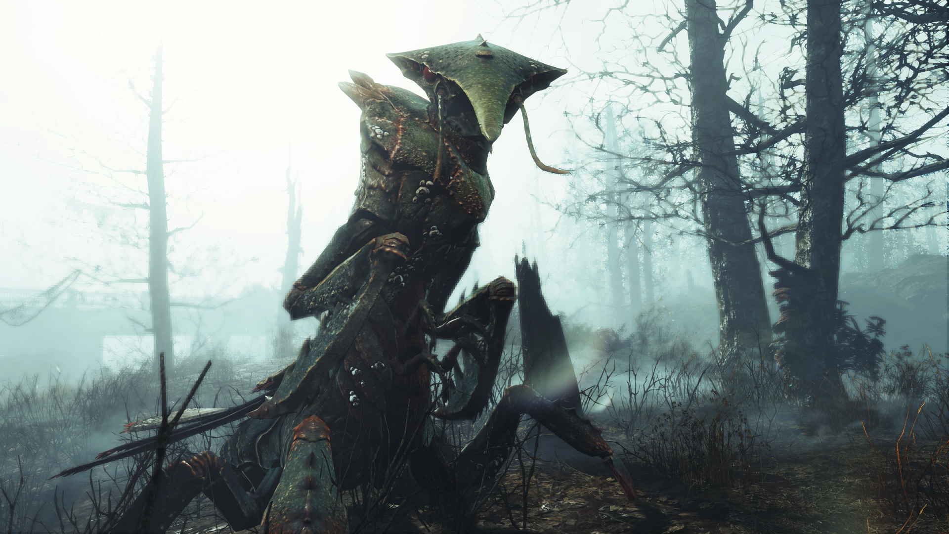 Fallout 4 Far Harbor — скриншот 3
