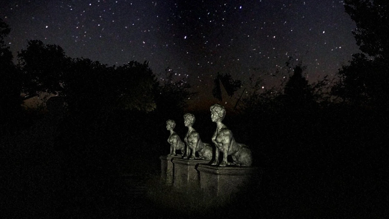 White Noise: A tale of Horror - кадр 7