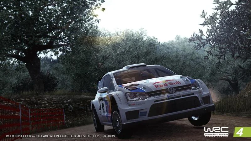 WRC 4 - кадр 7