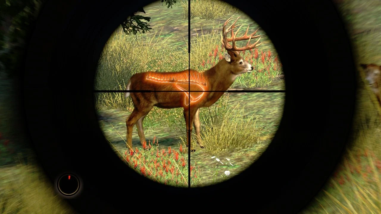 Cabela's Outdoor Adventures - кадр 6
