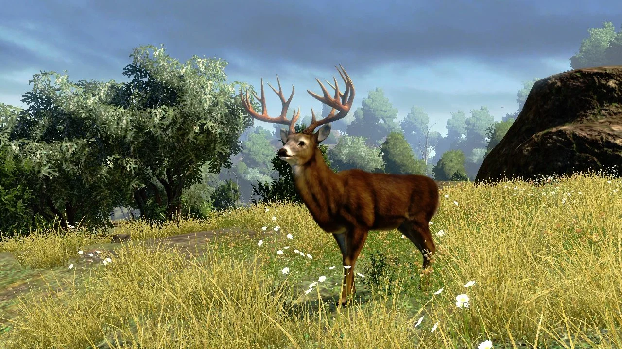 Cabela's Outdoor Adventures - кадр 7