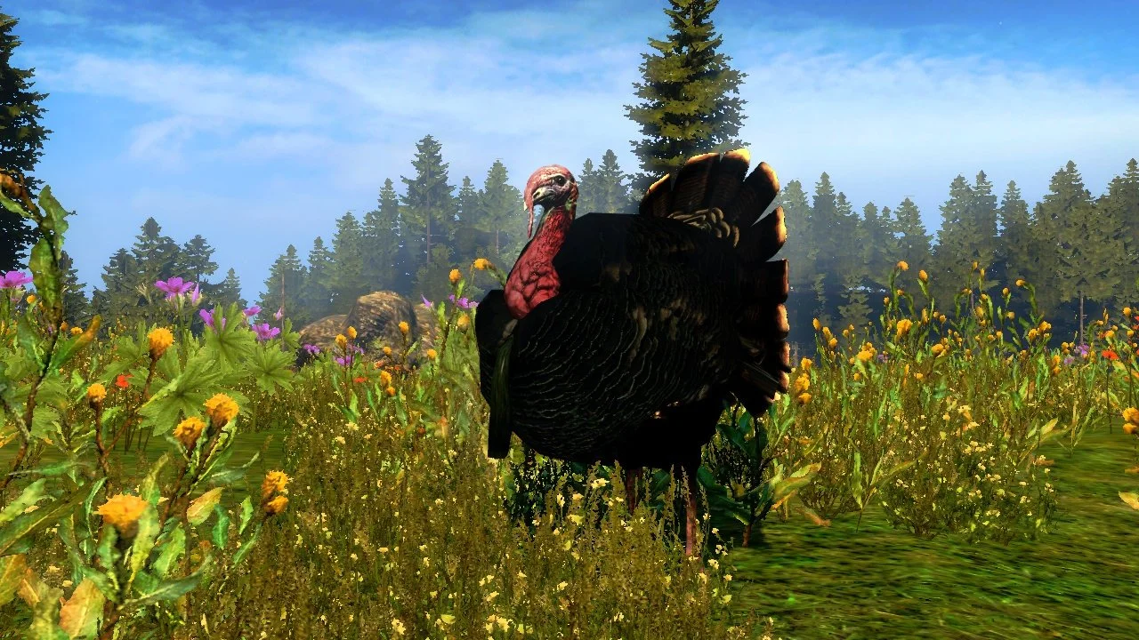 Cabela's Outdoor Adventures - кадр 5