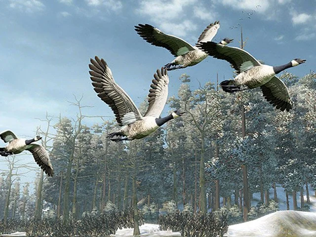 Cabela's Outdoor Adventures - кадр 3