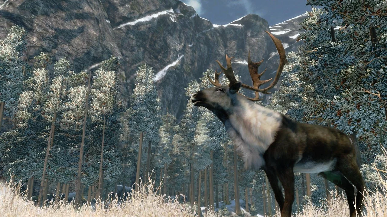 Cabela's Outdoor Adventures - кадр 4