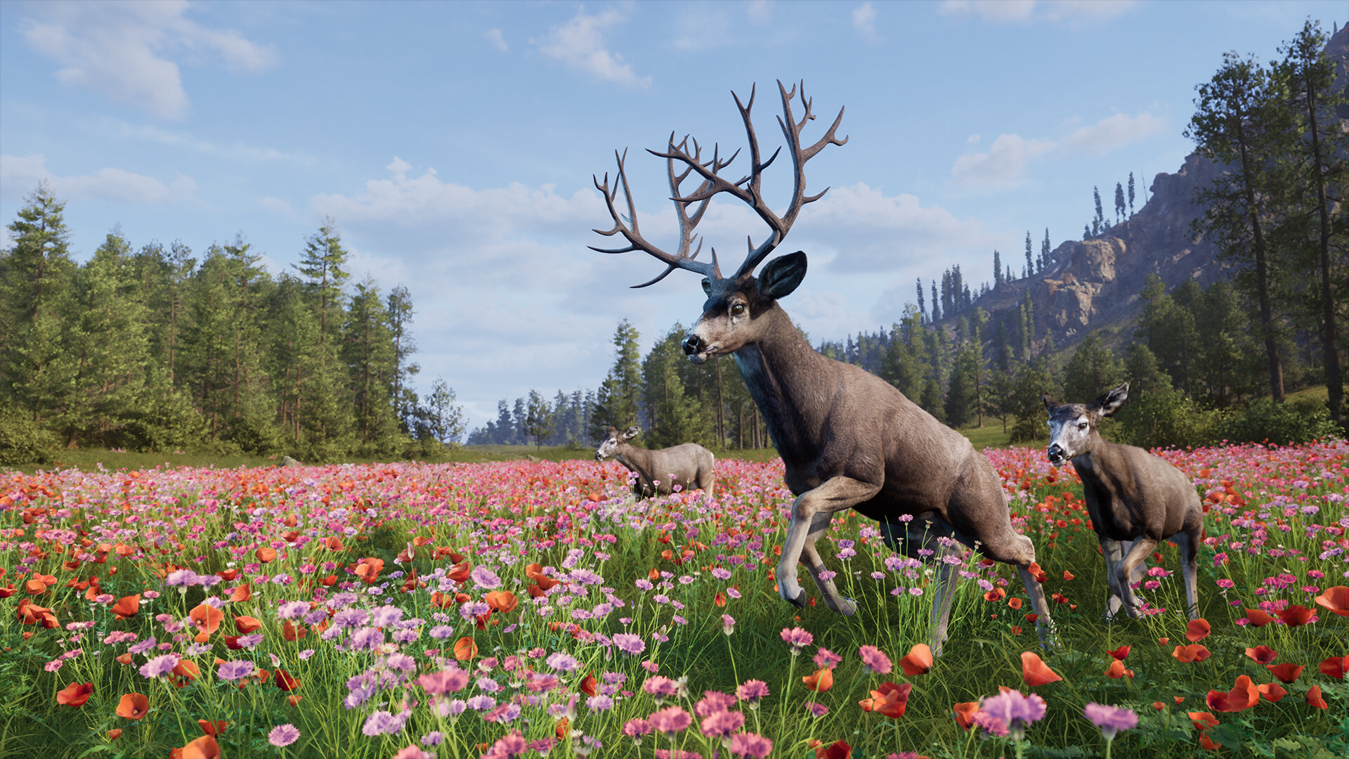 Way of the Hunter 2 — скриншот 2