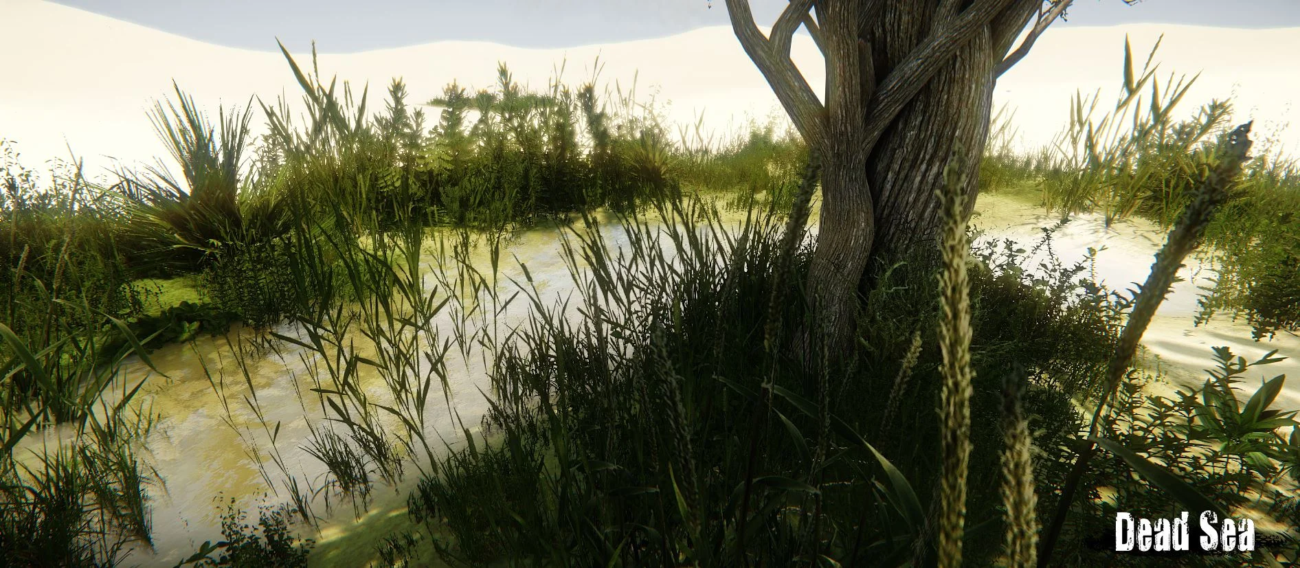 Dead Sea - кадр 6