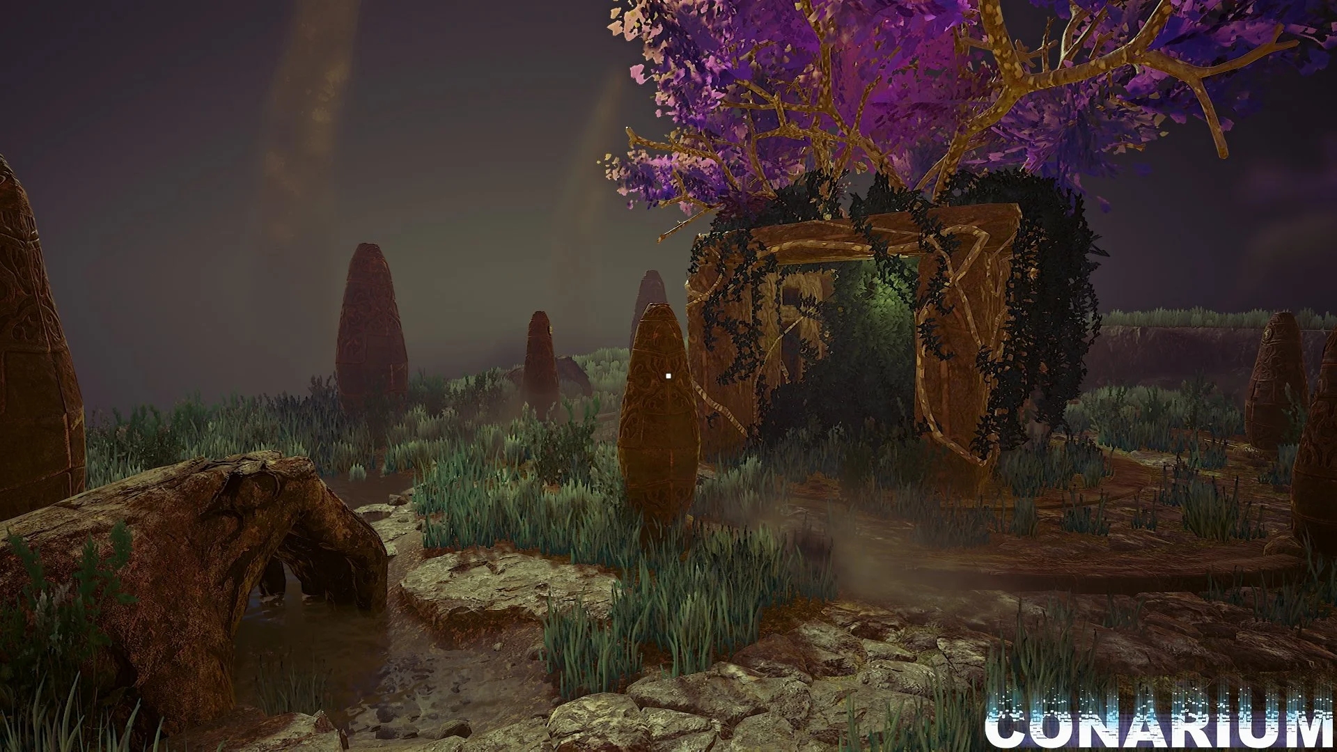 Conarium - кадр 6