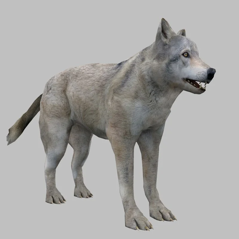 Greed Monger - кадр 8