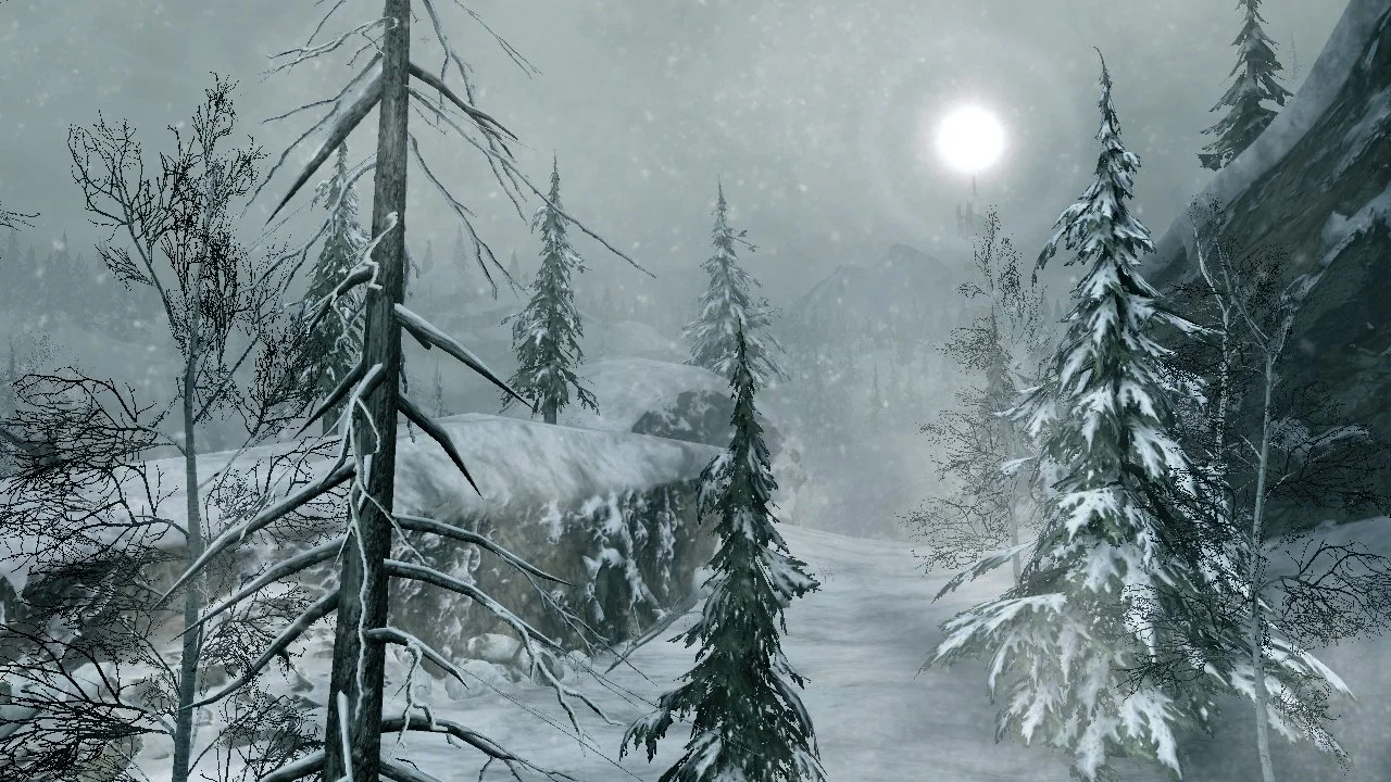 SOCOM: U.S. Navy SEALs Confrontation - кадр 3