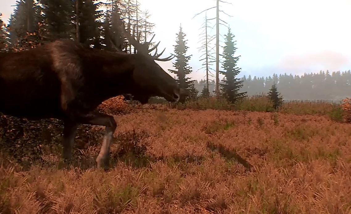 Cabela's Big Game Hunter: Pro Hunts — скриншот 1