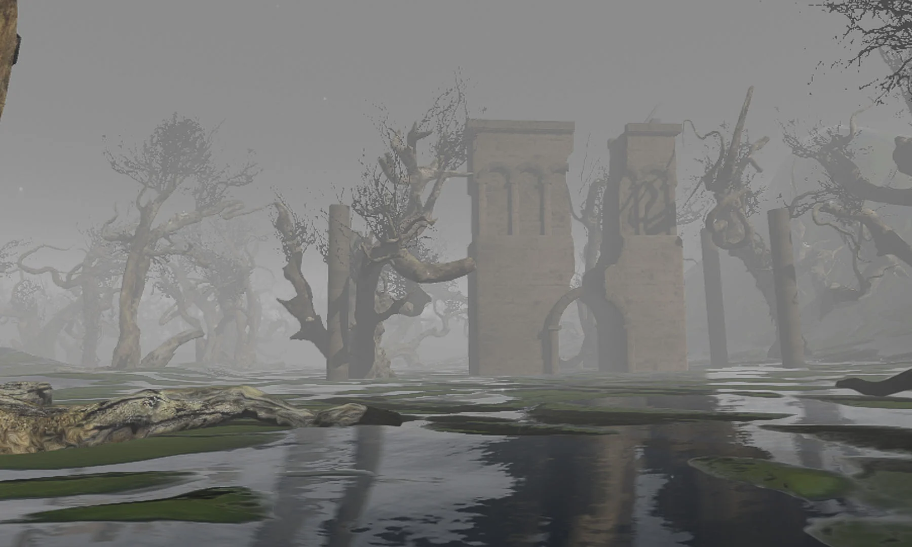 The Afterwoods - кадр 7