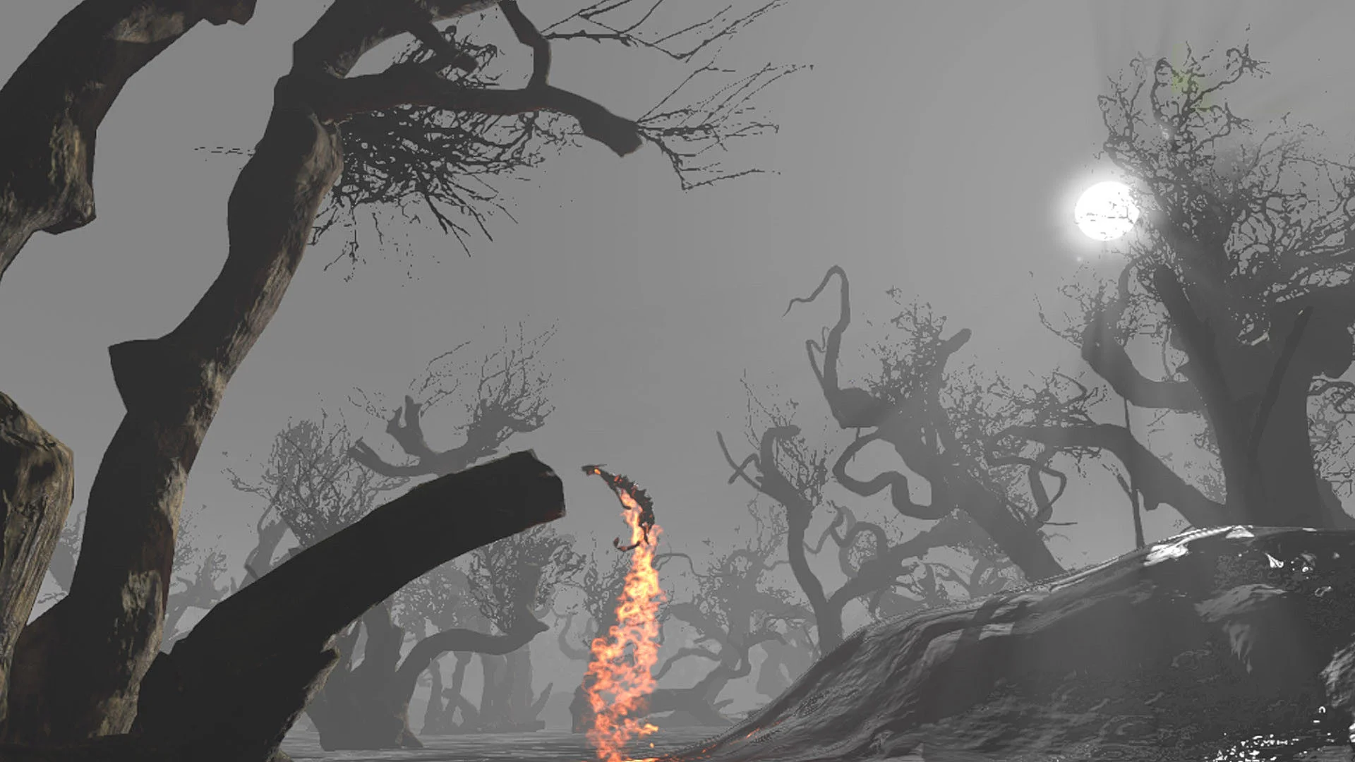 The Afterwoods - кадр 2