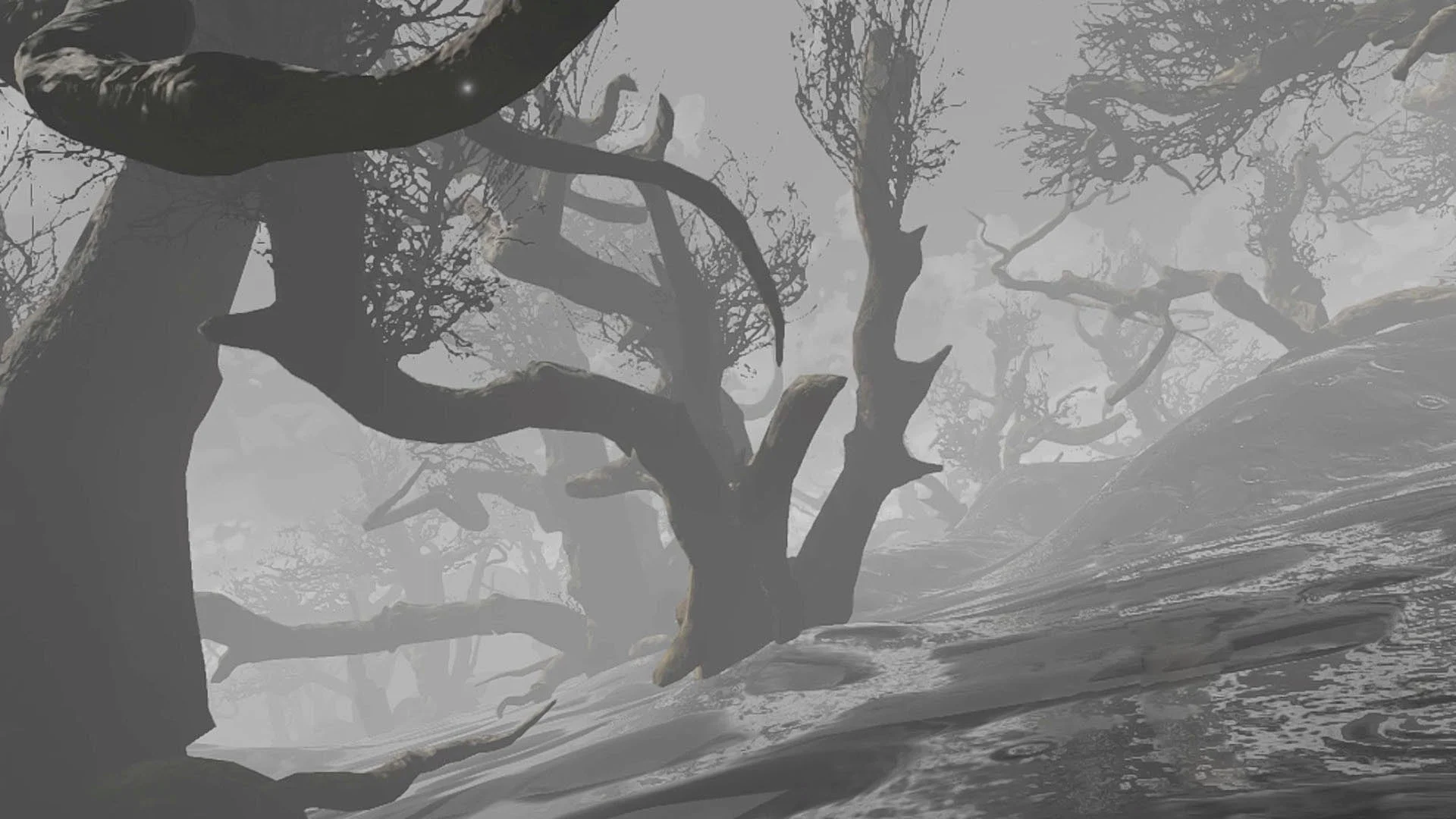 The Afterwoods - кадр 9