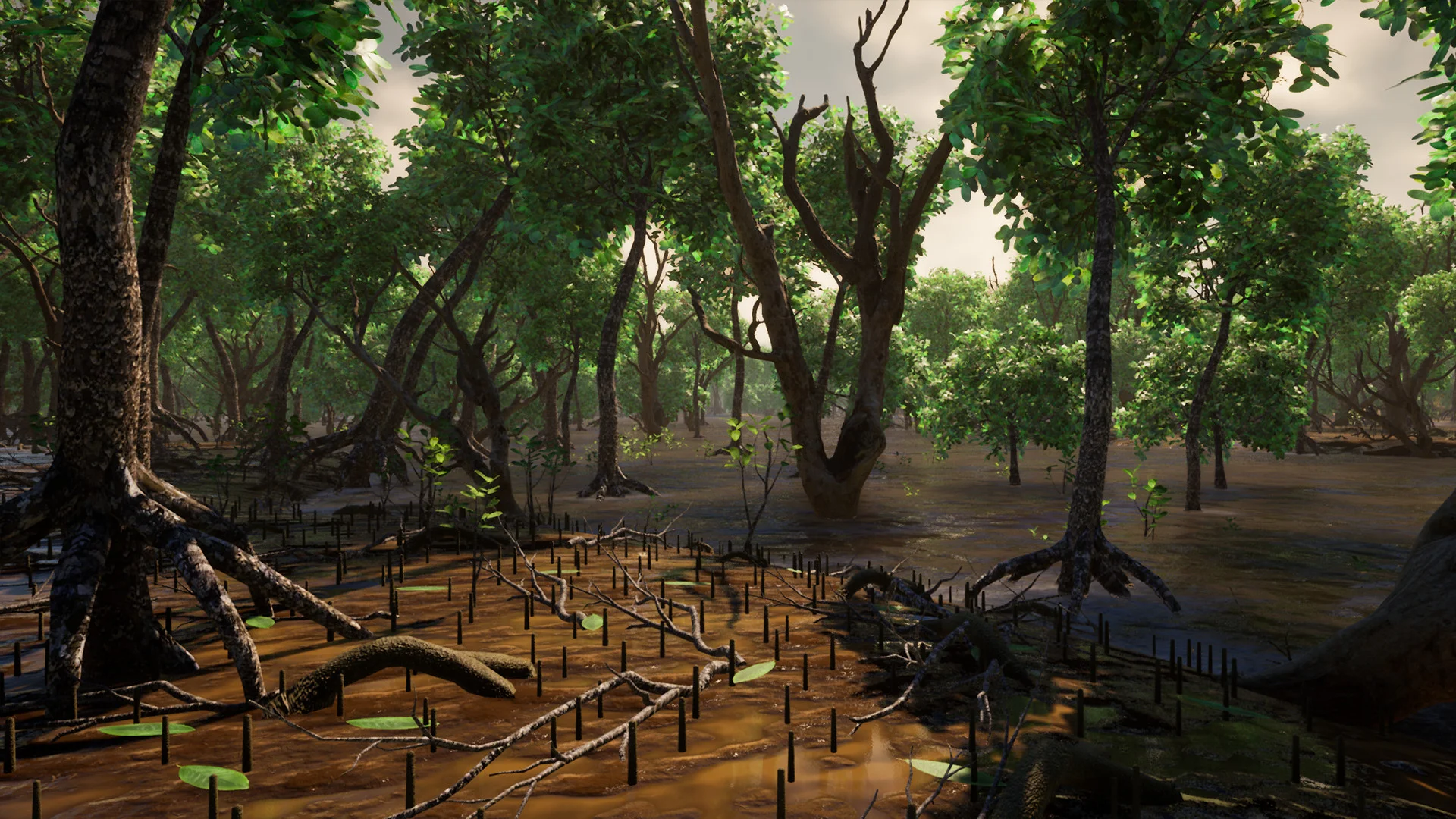 Straya - кадр 11