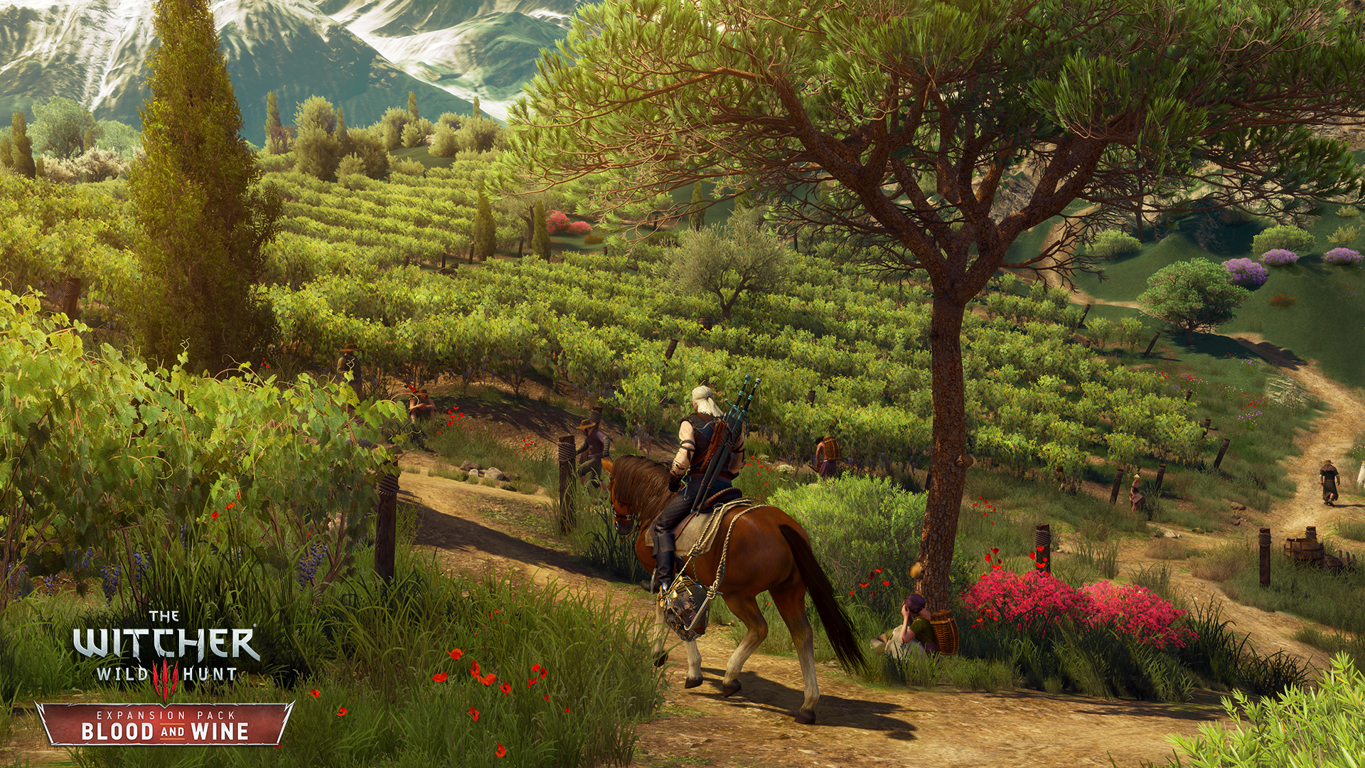 The Witcher 3: Wild Hunt - Blood and Wine — скриншот 4