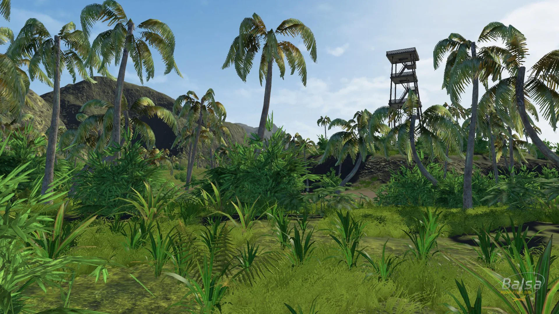 BALSA Model Flight Simulator - кадр 5