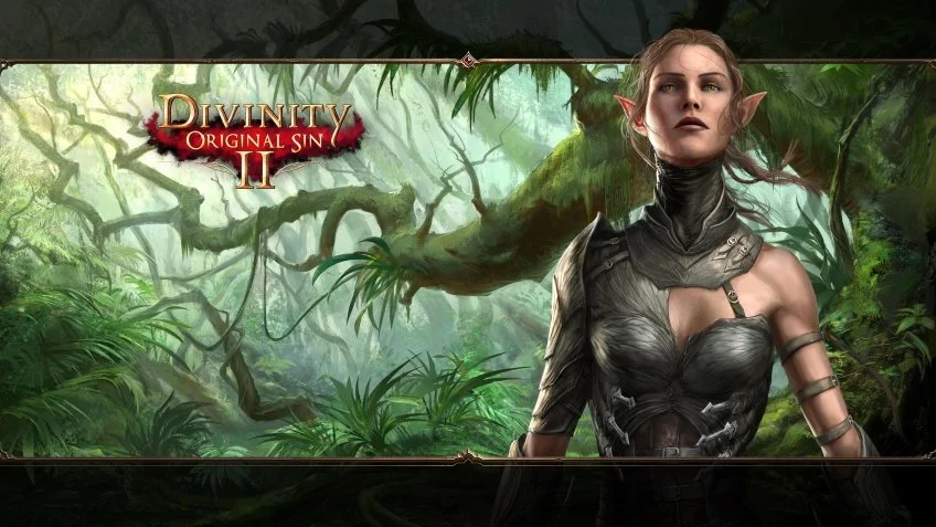 Divinity: Original Sin II - кадр 6