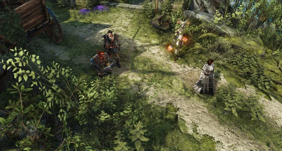 Divinity: Original Sin II - кадр 16