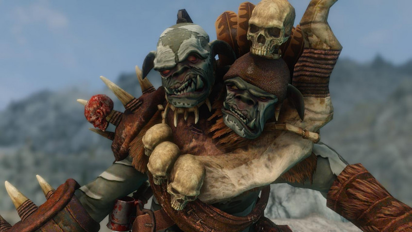 The Elder Scrolls 5: Skyrim — скриншот 4