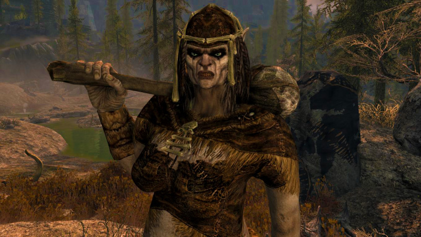 The Elder Scrolls 5: Skyrim — скриншот 1