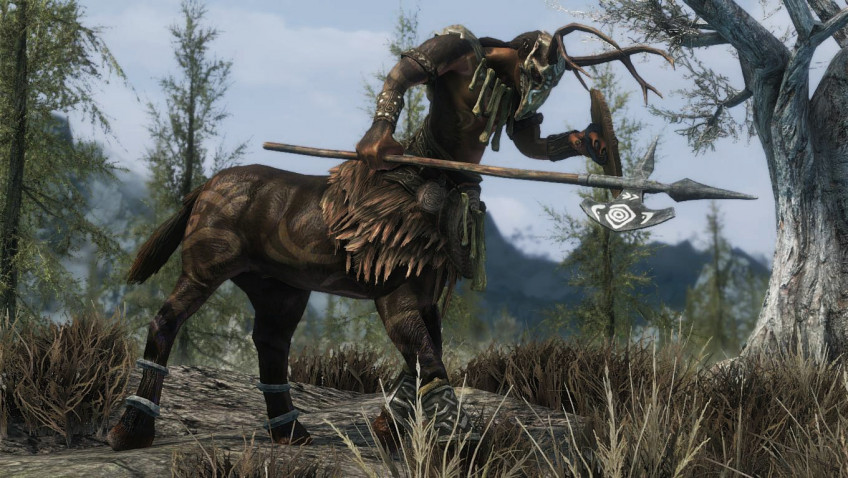 The Elder Scrolls 5: Skyrim — скриншот 7