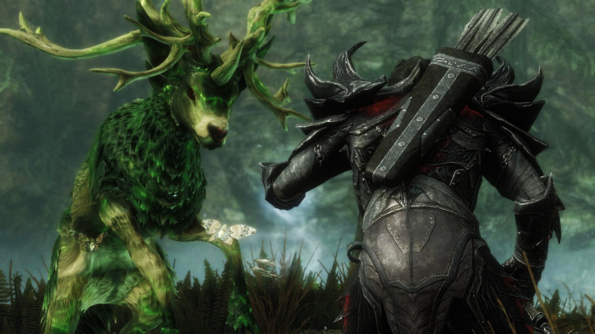 The Elder Scrolls 5: Skyrim — скриншот 8
