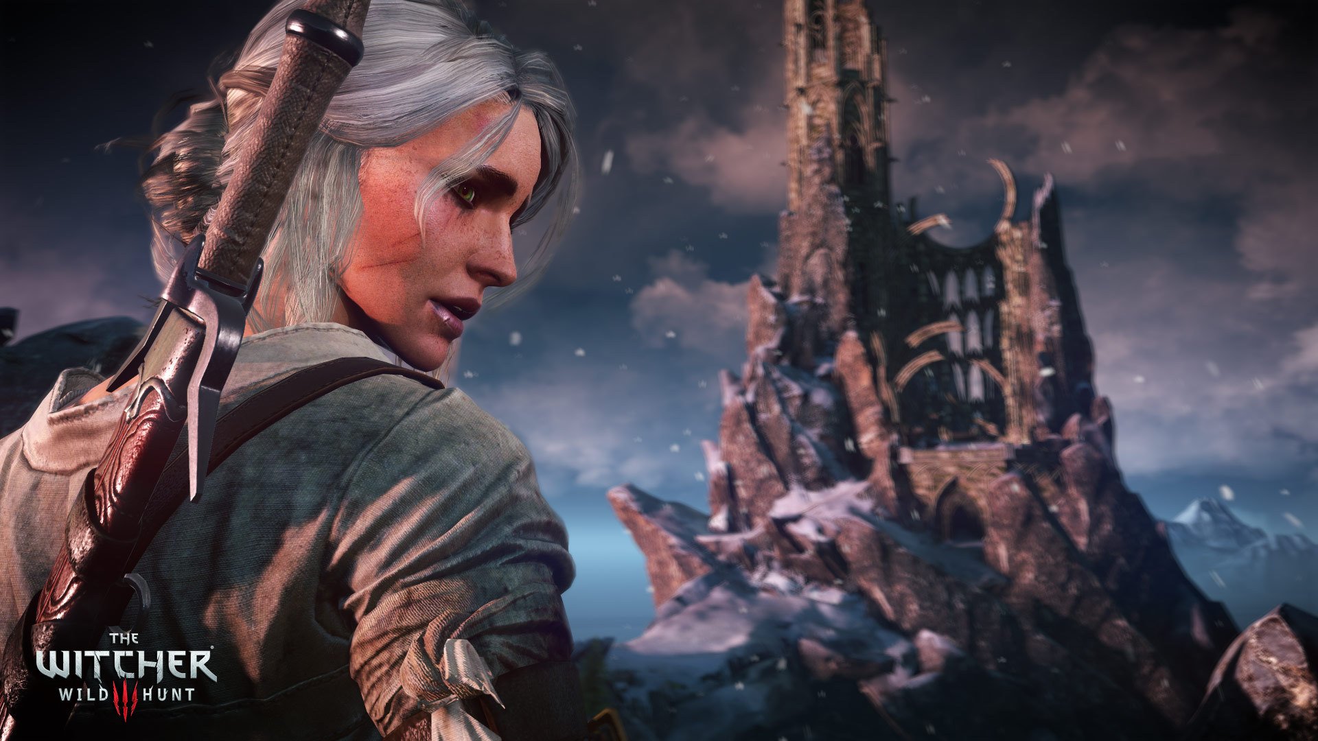 The Witcher 3: Wild Hunt - Game of the Year Edition — скриншот 7