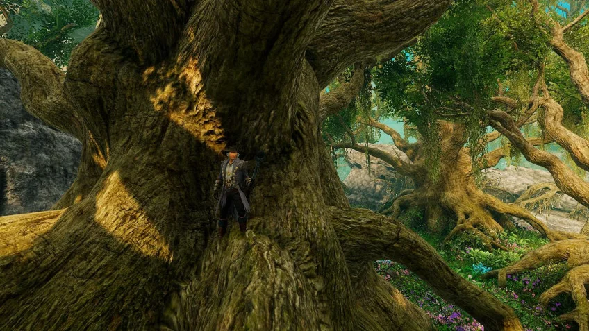 New World - кадр 8