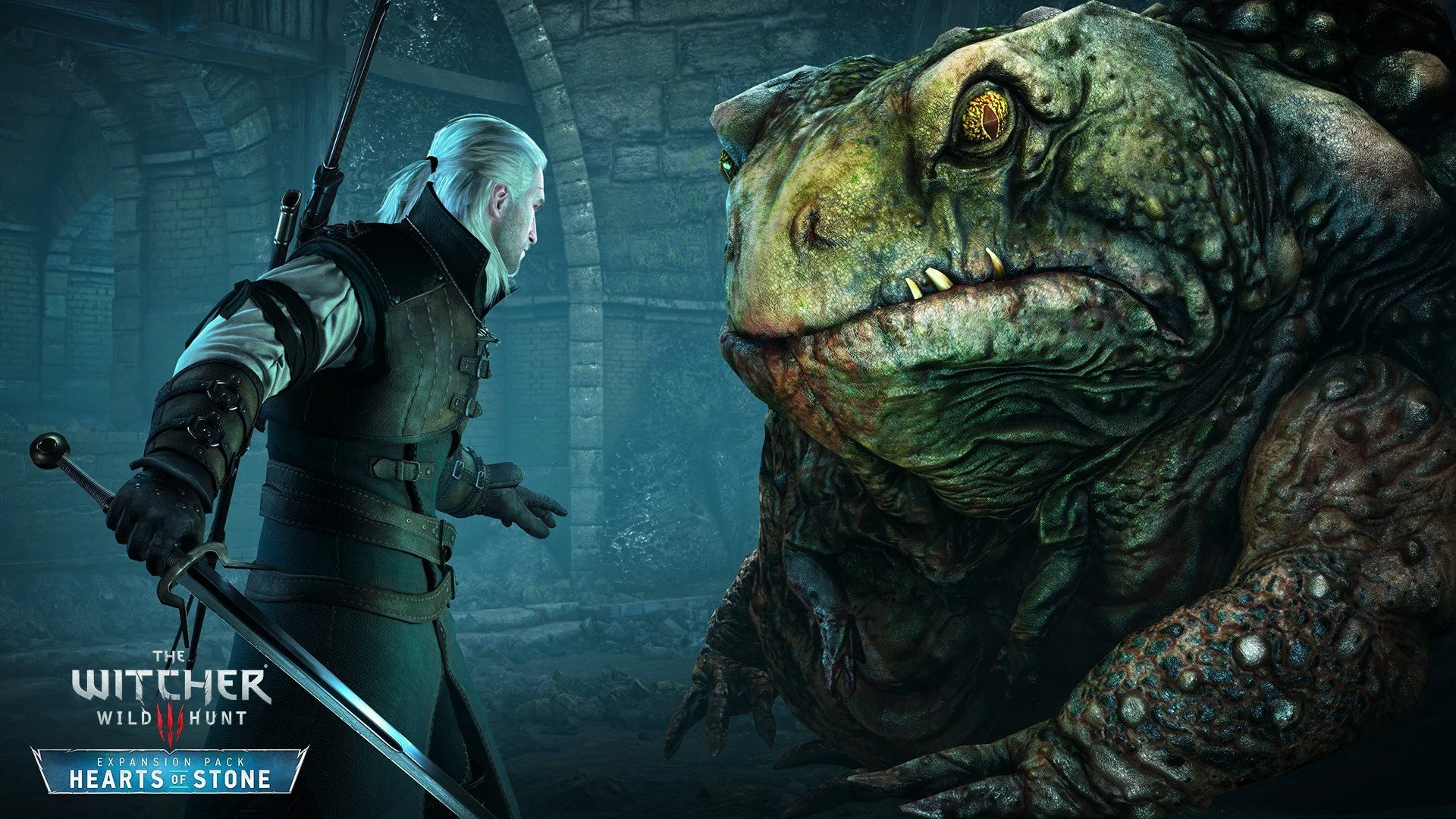 The Witcher 3: Wild Hunt - Game of the Year Edition - кадр 14