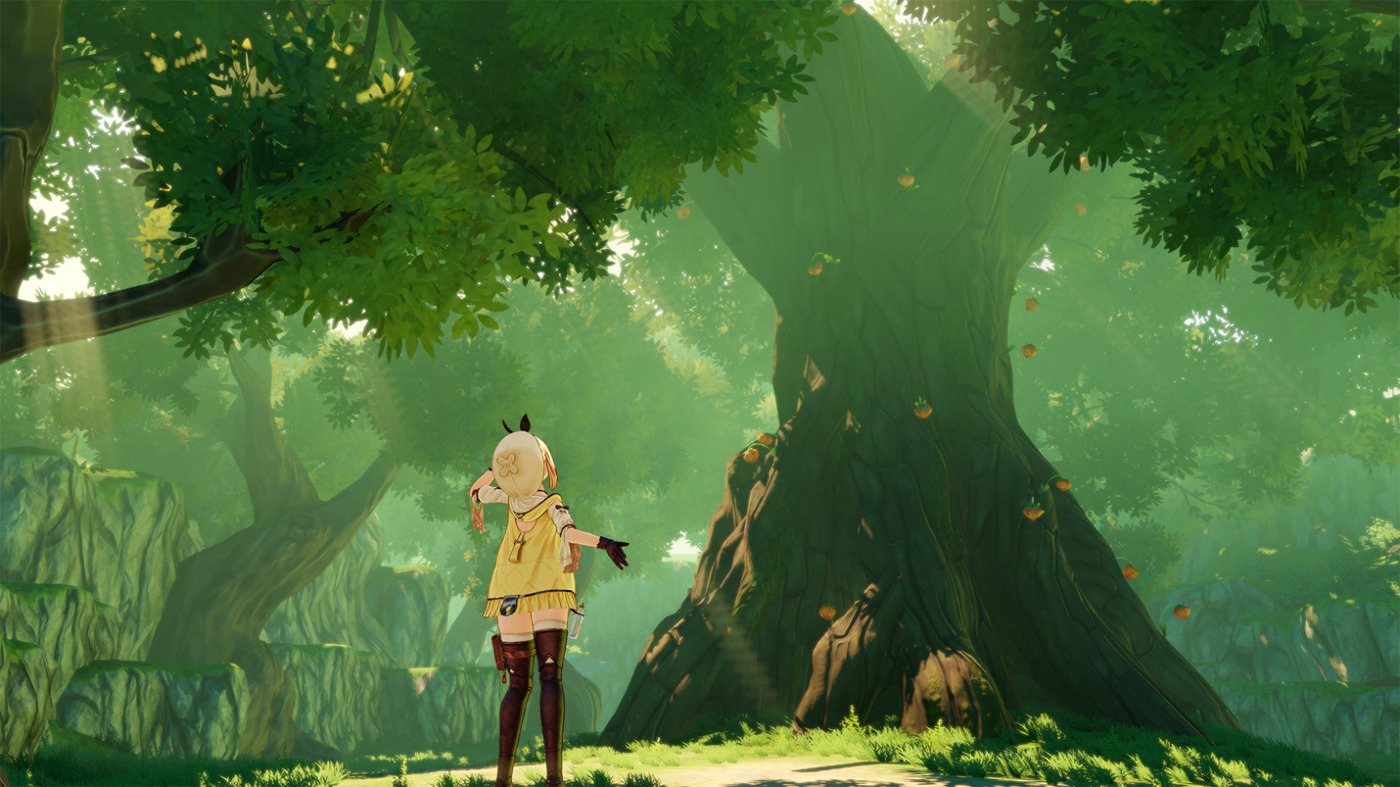Atelier Ryza: Ever Darkness & The Secret Hideout — скриншот 3