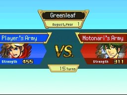 Pokémon Conquest — скриншот 7