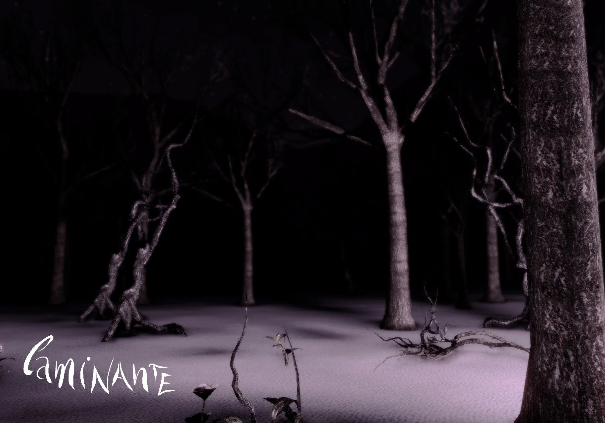 Caminante - кадр 3