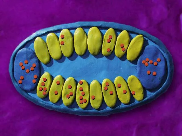 Пластилиновый сон - кадр 7