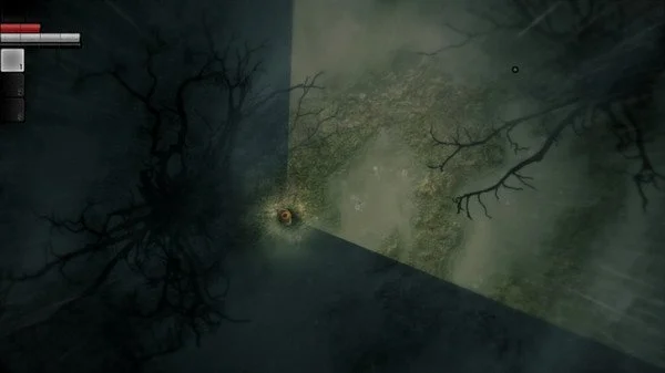 Darkwood - кадр 5