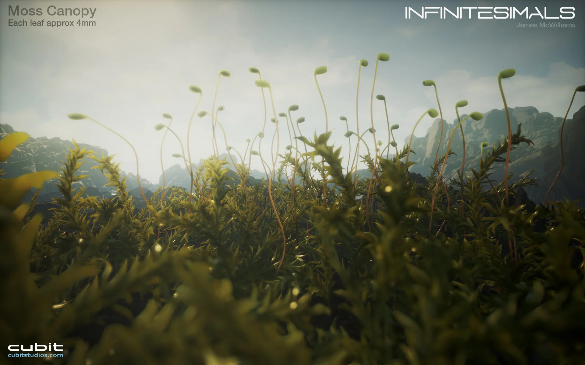 Infinitesimals - кадр 8