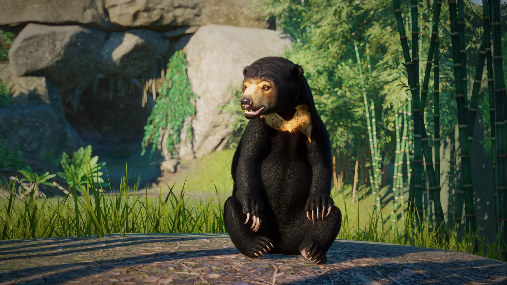Planet Zoo - кадр 5
