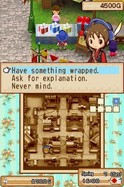 Harvest Moon: Grand Bazaar — скриншот 2