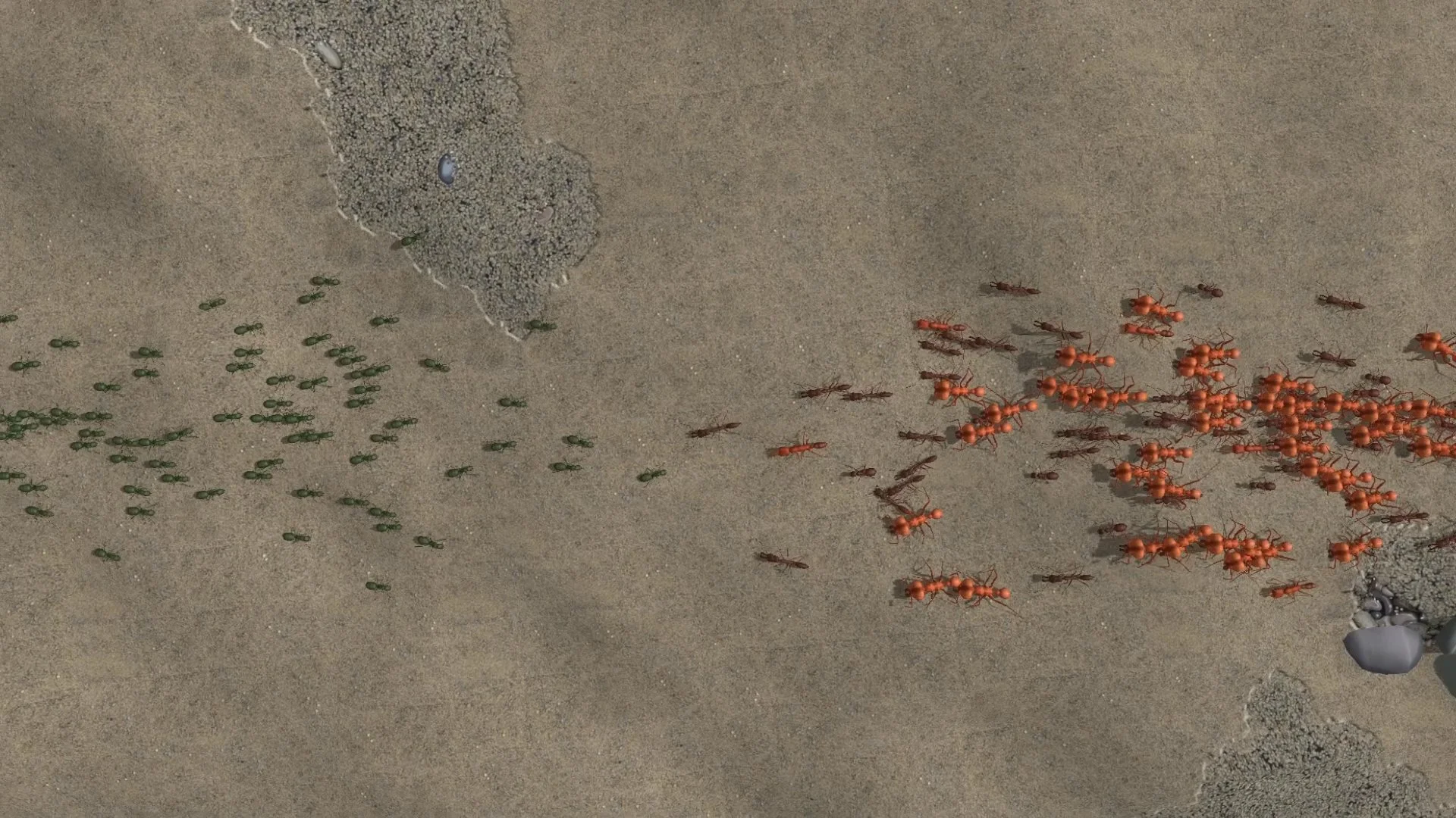 Empires of the Undergrowth - кадр 5