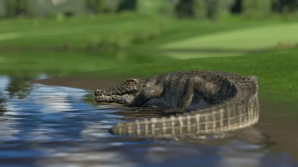 The Golf Club - кадр 15